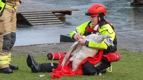 Firefighter sitting on the bank of the pond with the huge swan in her lap. She has a red helmet on with a torch attached.