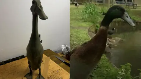 Sculpture of University of York duck Long Boi alongside picture of Long Boi