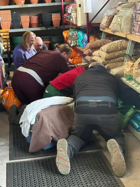 Matt Williamson and Son A group of people searching under a shelf for the otter in the garden centre