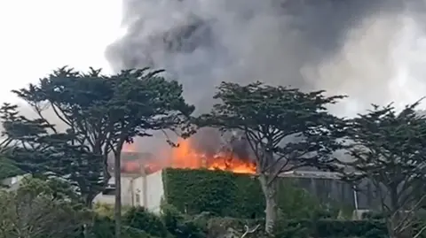 Gillian Barrie Flames throughout the hotel