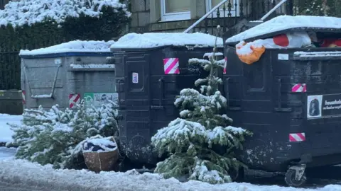 Three large on-street bins. A couple of old Christmas trees are lying outside them. They bins, trees and street is covered in snow