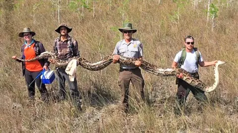 National Park Service Researchers hold up a 17-foot python found in the Big Cypress National Preserve