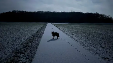 Lifestiles/WEATHERWATCHERS A dog stands on snowy path. The dog is in silhouette. The path runs through a frosty field towards some trees, which are some distance away. It is dusk. The dog is looking back at the camera. Its paw prints are in the snow. 