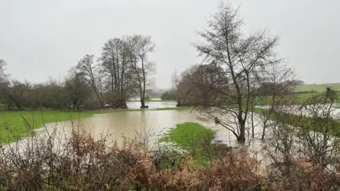 Shaun Whitmore/BBC Flooded fields at Walpole