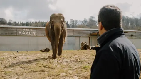 Longleat A man with an elephant