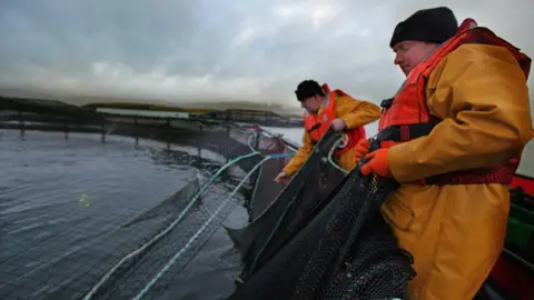 Getty Images fish farm