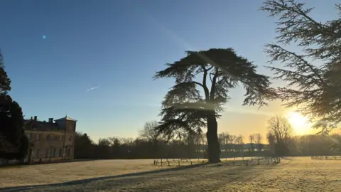 Lydiard Park, Swindon Borough Council A sunny winter's morning with a large tree in the middle of the picture, a country house to the left and the rising sun in the background.