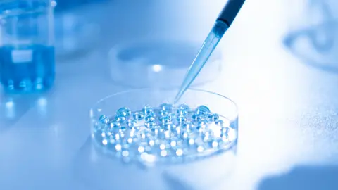 Scientist pipetting sample into tray for DNA testing in laboratory, preparing embryo cultivation plates