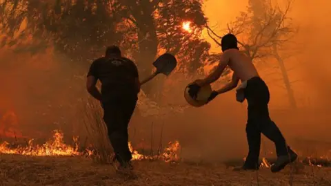 Getty Images Two men stand in front of a flaming tree. One throws water on the flames from a bucket