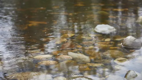 Clear shallow water ripples over smooth tan and grey stones, with small circular rings on the surface showing raindrops falling into the stream.