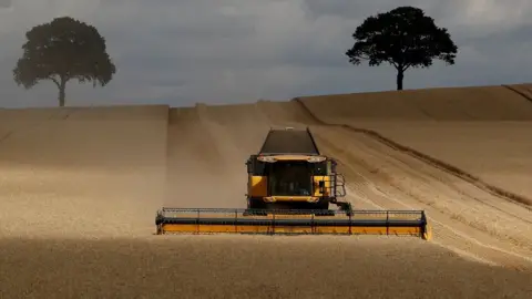 REUTERS/Darren Staples A field of barley is harvested by a combine harvester near Polesworth