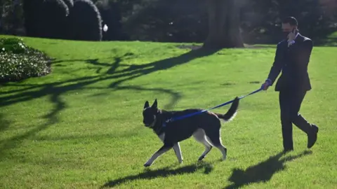 AFP Major is walked by a staff member in the White House grounds on 29 March 2021