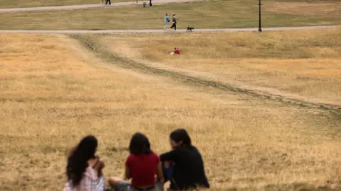 Reuters Dry ground and dead grass on Primrose Hill, London