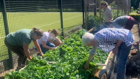 Volunteers working at the allotment