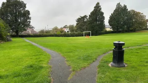 BBC The playing field is covered in green grass and has a path that splits off in different directions around the edge.