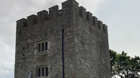 Culmore Fort is seen against a sky backdrop.
A ladder can be seen nestled against the stone wall.
A tree is also visible beside the historic structure.