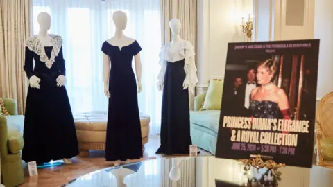 PA Media A collection of gowns featured in Princess Diana