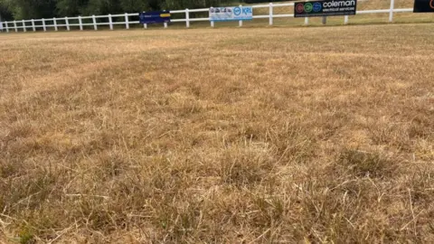 Charlie Stubbs / BBC There is grey, tinder-like grass as far as the eye can see. In the background, there is a white fence with promotional signs on there, including one that says Coleman Electrical Services and another with KRL