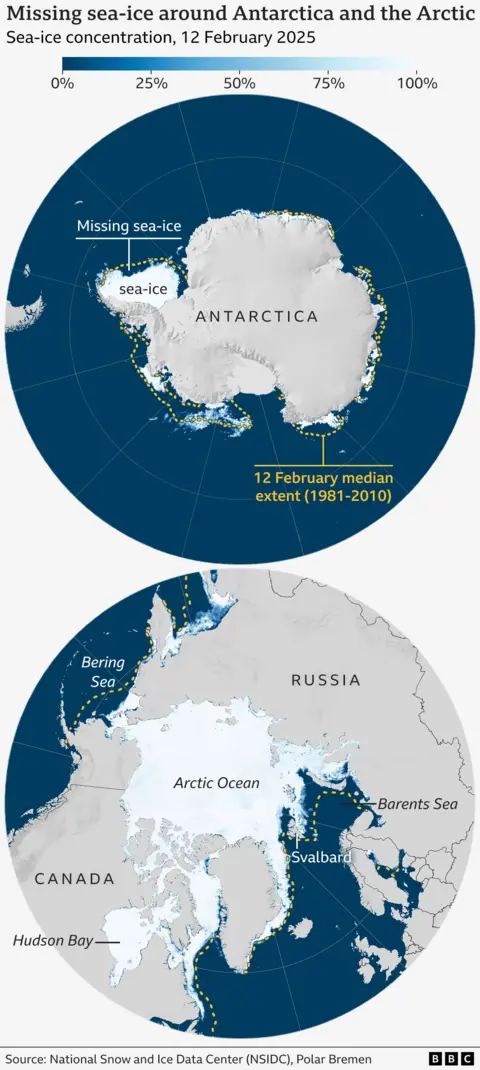 Two maps showing C-Ice Concentration on 12 February 2025 for both Antarctica and Arctic. For each map, the average limit for the period of 1981–2010 is shown and the areas of the missing sea-arms are visible.