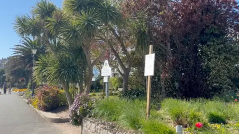 A view of Gorey Promenade Gardens from the pavement. There are large palm trees and sections of grass and flowers. There are two signs on posts but the text is not visible. It is a sunny day.