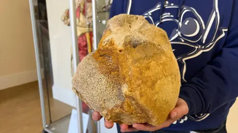 A man is holding up the bone, which is about the size of a football. It is a sandy yellow in colour, and an imperfect rounded shape.