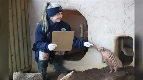 A zookeeper smiling and pointing at an armadillo. 