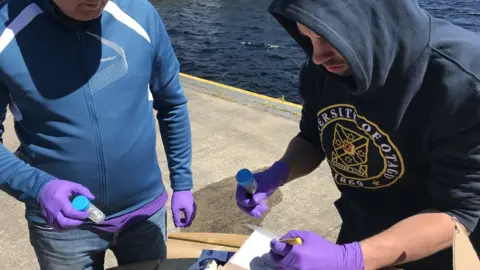 University of Otago Processing samples