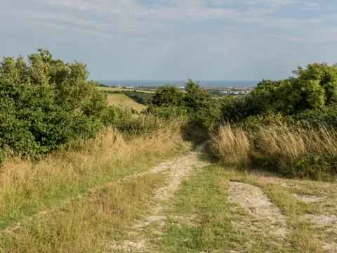 Alamy A bridleway leading down Cissbury Ring on the South Downs