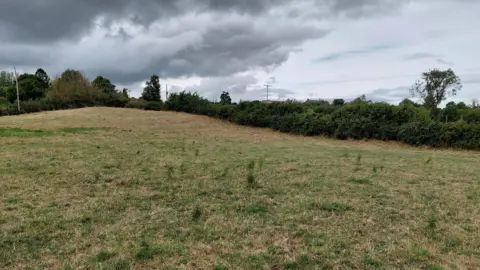 A grassy hill with trees on the edge. The sky is cloudy and some houses peek out of the bushes in the distance.
