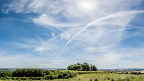 Anthony Morris A sunny day at the Wittenham Clumps