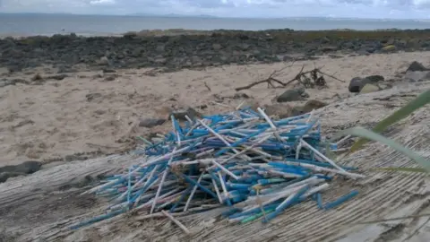 Clare Cavers Cotton buds collected at Gullane