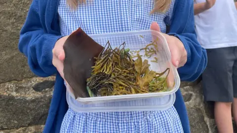 A school girl in a blue and white gingham dress and blue cardigan, holding a tub of seaweed being held up to the camera.