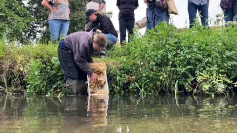 National Trust/ Hannah Elliott A woman stands in shallow water tipping a plastic container filled with straw into a stream, while several others watch from the grassy bank behind.