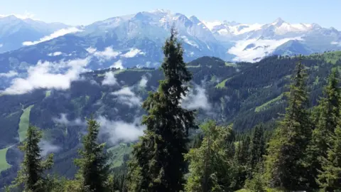 Anne Couser The Swiss Alps.