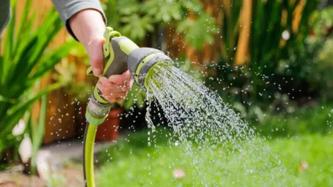 Getty Images Water is coming out of a green and grey hose which is being used in the garden. A person is holding it who is wearing a grey long sleeved top, their face and body is not in shot. There are tall green plants around the border of the garden.