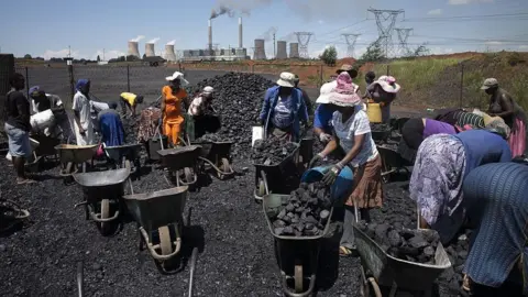 Getty Images Women from the coal-dust covered and power-line pollution-exposed Masakhane settlement fill their wheel barrows for a load of free coal provided by a nearby mine on February 5, 2015 in Emalahleni