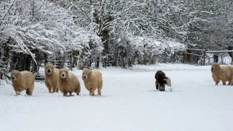 Chris Simons Four Marks, Hampshire