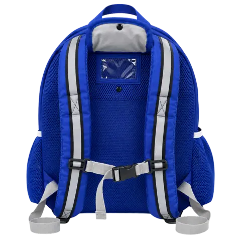 Scottish government A royal blue backpack, pictured from the back - the straps are blue and grey