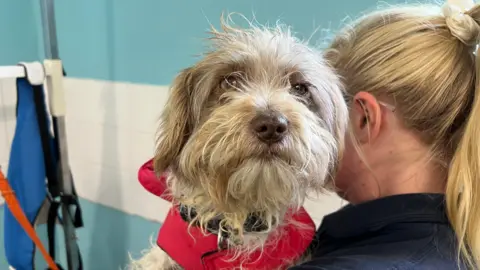 RSPCA Samantha, the mother of the puppies being held by a woman