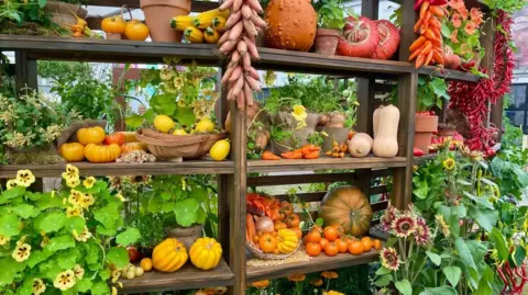 Wooden shelves are full with colourful produce including tomatoes, chillies, squashes, pumpkins and sunflowers.