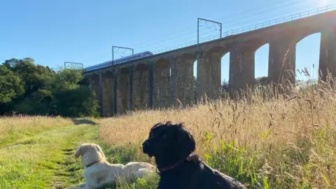 A train crossing the Lesbury railway viaduct in Northumberland