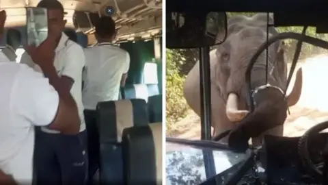 Elephant smashing through bus windscreen with its trunk UGC Via BBC News Sinhala