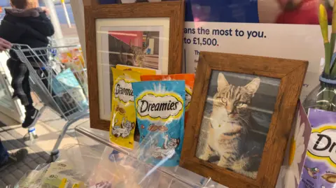 George King/BBC A picture of Oscar the cat in a wooden frame next to packets of Dreamies cat treats