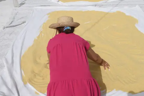 FETHI BELAID/AFP A Tunisian woman spreads couscous to dry in the sun in Nabeul, southwest of Tunis on 28 June.