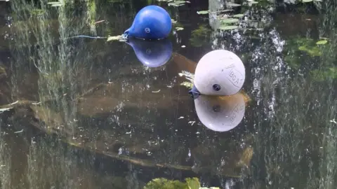 Erewash Canal Association Abandoned boat sunk under the water's surface 