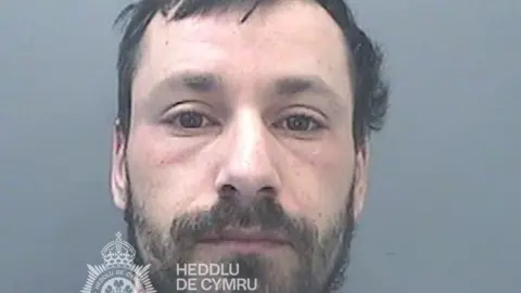South Wales Police Daniel Popescu in police custody