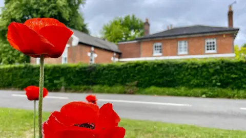 Shurlock Homes A flowery scene in Waltham St Lawrence