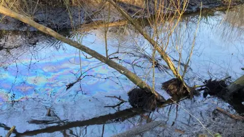 A close up view of what appears to be diesel in the river, with branches going across the water and a muddy bank to the left. 