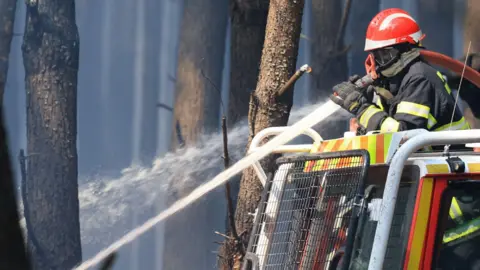 A firefighter wearing a jacket, gloves, helmet and goggles holds a hose streaming water from a fire truck into a charred forest.