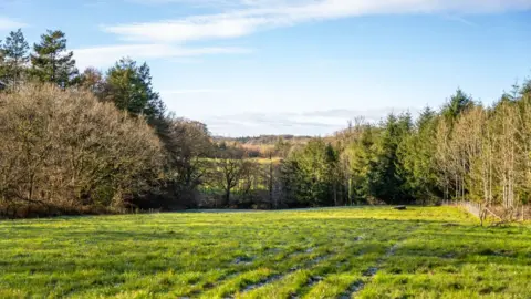 A green field with trees around the border. The sky is blue with white clouds. 